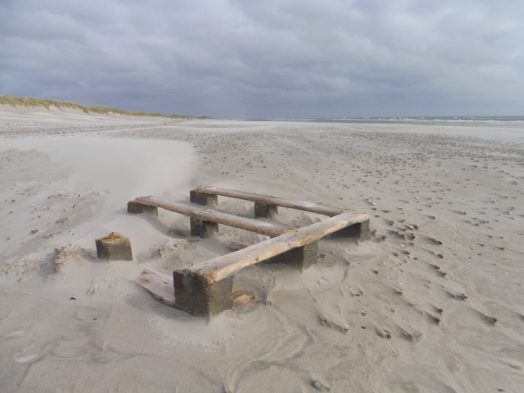 Foto einer Europalatte im Sand am Meer. Welche Geschichten erzählt sie? Und welche Geschichten lassen sich über dich erzählen?