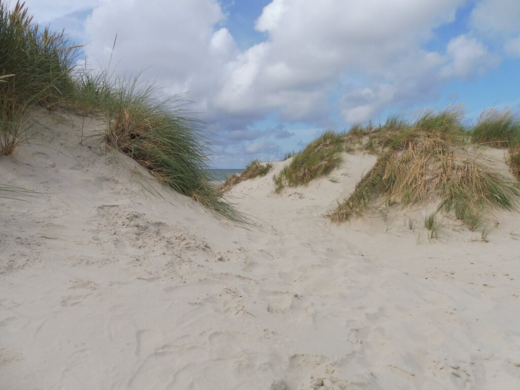 Bild eines Dünendurchganges im Vordergrund, hinten ist das Meer sichtbar.