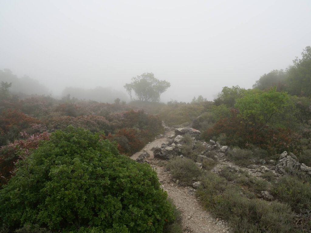 Kleiner Trampelpfad auf einem Berg durch eine nebelige Landschaft.