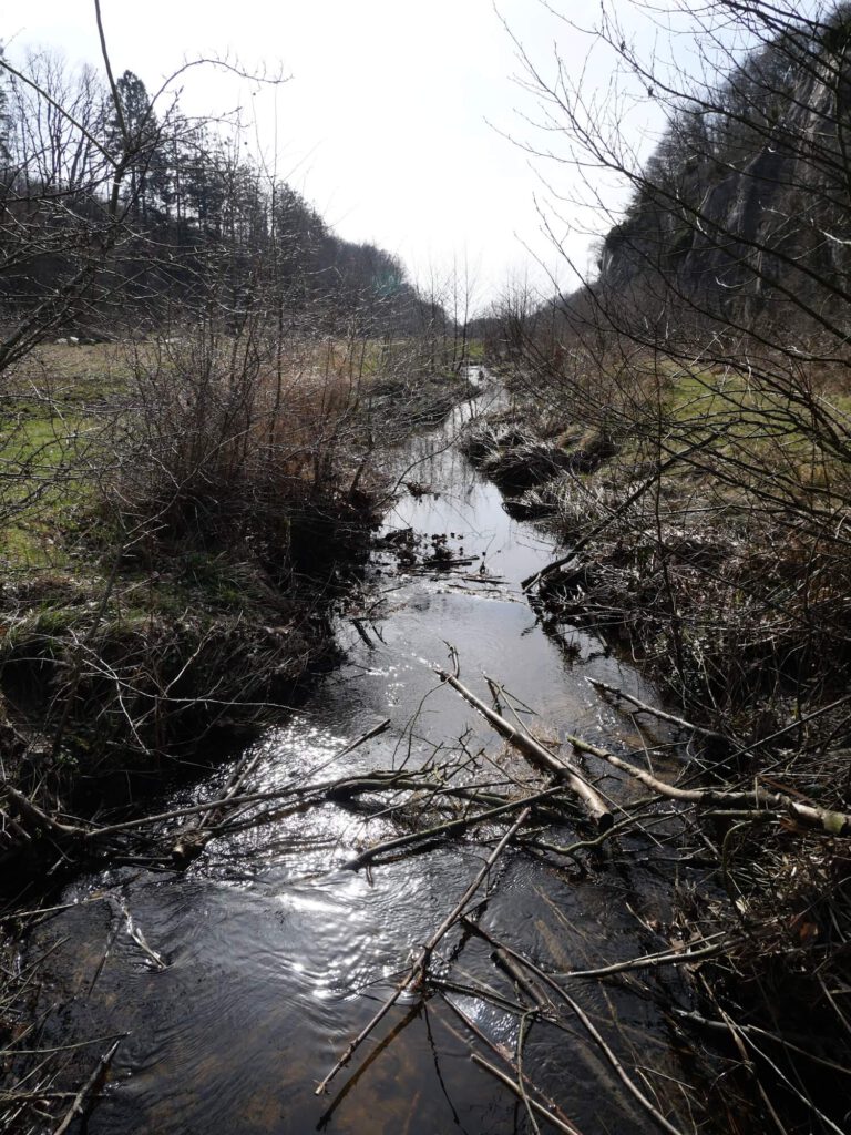 Das Leben im Fluss. Aufnahme des Flusses von der Brücke, auf der Volker Schwolow, der Autor dieses Beitrages, zu seinen Überlegungen kam.