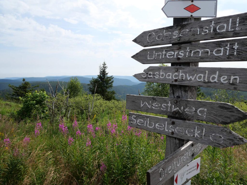 Foto von Volker Schwolow: Wegweiser in Hügellandschaft vor Blumenwiese.