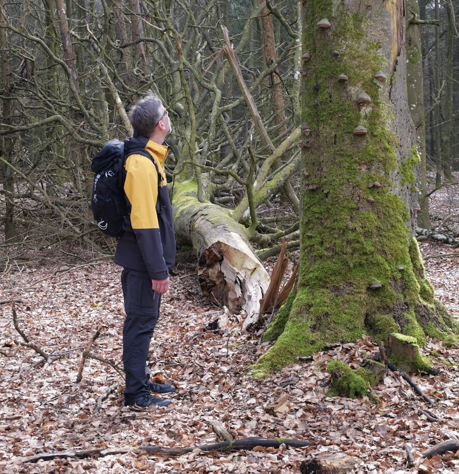 Volker Schwolow nochmals am abgebrochenen Baum, jetzt den Blick nach oben gewandt. Gescheitert - aber ich gebe nicht auf!